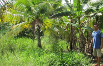 Treo bồi thường năm năm, dân lao đao