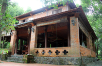 Đà Nẵng kiểm tra toàn bộ đất rừng Hải Vân