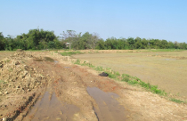 Quảng Nam: Doanh nghiệp làm càn, đồng ruộng tan hoang