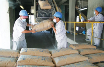 Xuất khẩu xi măng sụt giảm do áp lực từ Trung Quốc