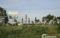 Bình Dương: Tồn kho 860 căn hộ và 66.497 m2 nền