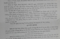 Tĩnh Gia, Thanh Hóa: Chưa GPMB đã bán đấu giá, cấp quyền sử dụng đất