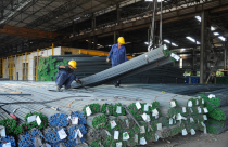 Nghịch lý ngành thép Việt Nam