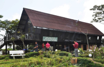 Yêu cầu xử lý vụ xây dựng trái phép trên đỉnh Hòn Bà