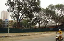 Tạm đình chỉ công trình vi phạm trật tự xây dựng