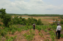 Quảng Trị: Cán bộ, người dân đua nhau xẻ thịt hàng trăm hécta đất “cấm”