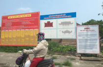 “Làm ngơ” cho xây dựng không phép?