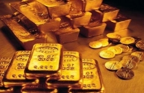 Giá vàng tuần tới sẽ tiếp tục tăng