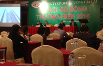 Năm 2016, Quốc Cường Gia Lai đặt mục tiêu lợi nhuận tăng 316%