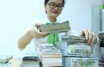 Tỷ giá USD/VND phá dớp biến động