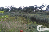 “Đắng lòng” mua đất gần 10 năm vẫn không xây được nhà