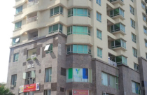 8 năm mỏi mắt chờ… sổ đỏ