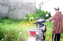 ‘Đẻ’ thủ tục nhà đất làm khổ dân