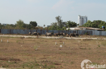 Công khai các tổ chức sai phạm trong sử dụng đất đai