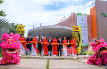 Nhà mẫu Opal Garden thông điệp về sống xanh ngay lòng thành phố