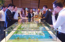 Mở bán Jamona Golden Silk