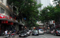 Nhà giàu “khóc thét” vì chỗ đậu xe