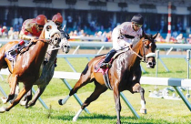 Bắc Ninh: Tập đoàn Hàn Quốc muốn xây trường đua ngựa 500 triệu USD