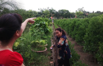 Hà Nội: Vì đâu hai Phó Chủ tịch chỉ đạo giao 1 mảnh đất vàng cho 2 chủ đầu tư?