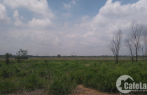 Những siêu đô thị trên “giấy”