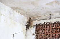 Sống ở chung cư... nát