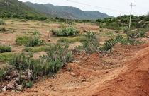 Ninh Thuận ưu ái dự án… “rùa”