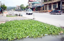 Quảng Ninh: Cần xem xét lại việc bồi thường cho 41 hộ dân