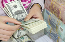 Thị trường đã lập lại trật tự