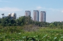 TP Hồ Chí Minh: Nhức nhối vì những dự án “treo”