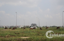 Rút ngắn thời gian nhiều thủ tục đất đai