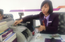 Năm 2017: Đầu tư vào đâu để sinh lời?