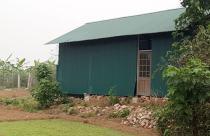 Tại phường Tứ Liên: Hàng loạt nhà không phép “mọc” ở bãi giữa sông Hồng