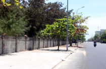 Đất vàng bị bỏ hoang