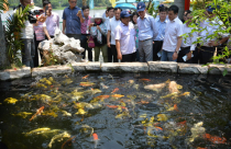 Làm cao tốc trên cao để Củ Chi phát triển du lịch