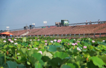 Bất chấp cảnh báo, hàng loạt ngân hàng vẫn lao vào “canh bạc” giao thông...