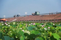 Bất chấp cảnh báo, hàng loạt ngân hàng vẫn lao vào “canh bạc” giao thông...