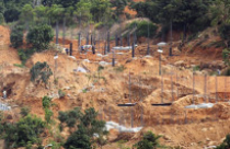 Đà Nẵng: Cấm vĩnh viễn dự án không đủ điều kiện trên bán đảo Sơn Trà