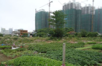 TP.HCM mạnh tay ‘xử’ các dự án trùm mền, sử dụng sai mục đích