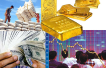 Điểm tin sáng CafeLand 26/4