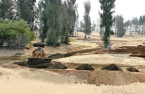 Đốn 100ha rừng phòng hộ làm sân golf đón thi hoa hậu