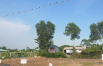 Sai phạm đất đai ở Long Thượng, Cần Giuộc: Cách chức bí thư, phó bí thư xã