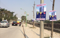 Chung cư, biệt thự hết thời rủ nhau “leo” cây xanh, cột điện