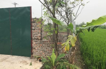Nhiều công trình trái phép tồn tại trên đất nông nghiệp