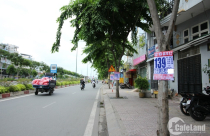 Quảng cáo nhà đất vẫn vô tư “trèo cây, leo cột” bất chấp lệnh cấm