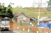 Khó thu hồi đất rừng bị lấn chiếm