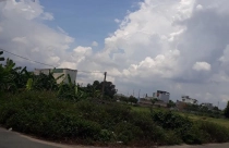 TP.HCM: Mua dự án đất nông nghiệp gần 20 năm, nguy cơ mất trắng hàng chục tỷ đồng