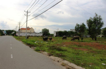 Cuộc ‘tháo chạy’ khỏi bất động sản Bình Dương