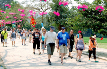 Hơn 1,2 triệu lượt khách quốc tế đến Việt Nam trong tháng 8