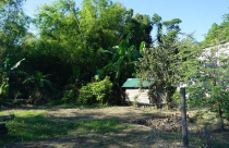 Cuộc sống đảo lộn vì dự án