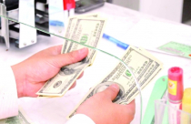 Sức ép lên tỷ giá trong tầm kiểm soát